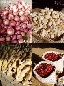 江杨农产品批发市场 食用农产品批发的安全与高效之地